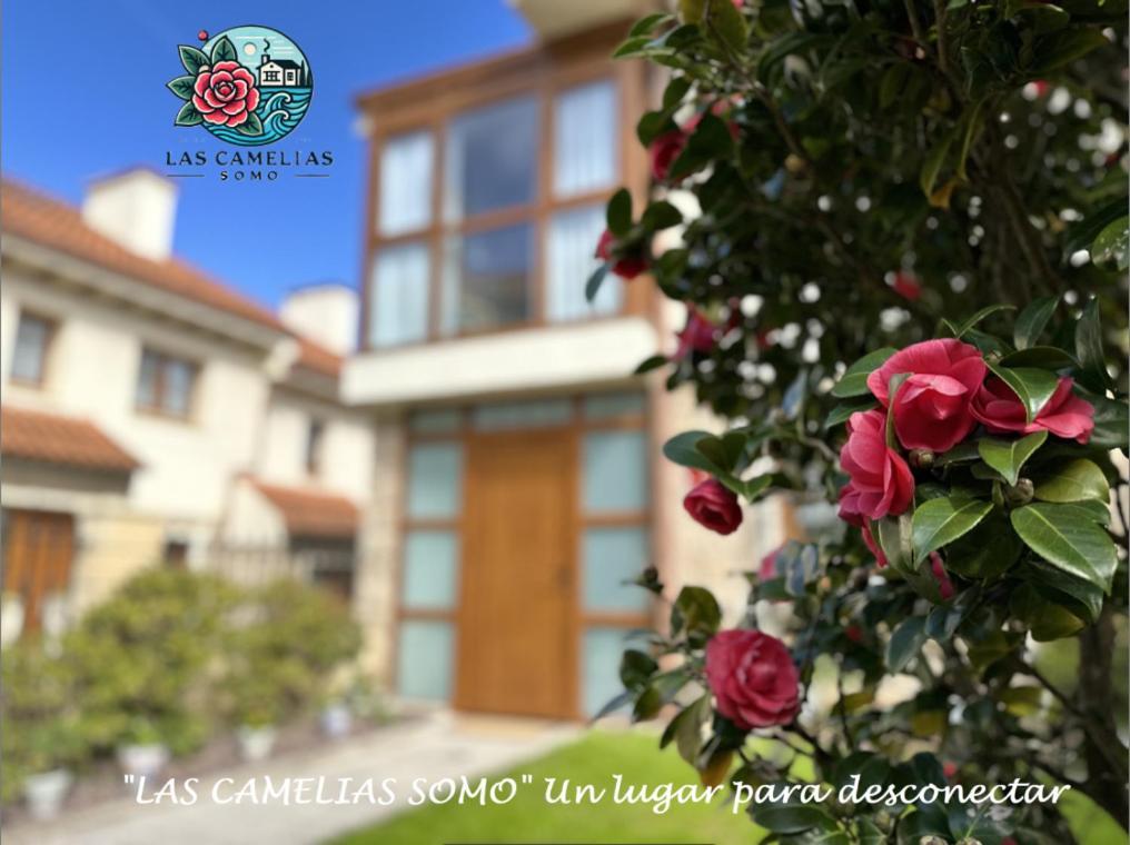 "Las Camelias Somo" Un Lugar Para Desconectar!! Vistas Al Mar!! Kültér fotó